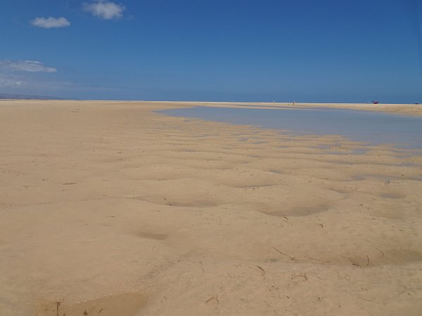 Sotavento lagoon at low tide