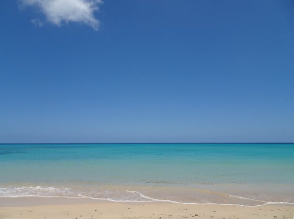 Sotavento beach impression 1
