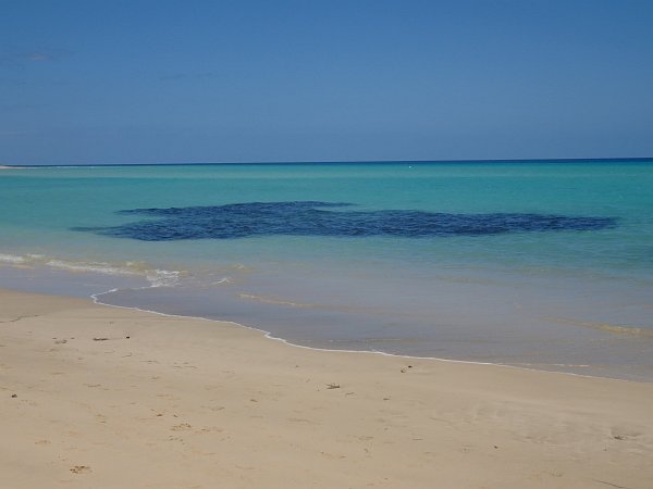 Sotavento beach impression 2