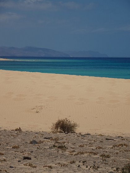 View towards sea from dune at Sotavento lagoon