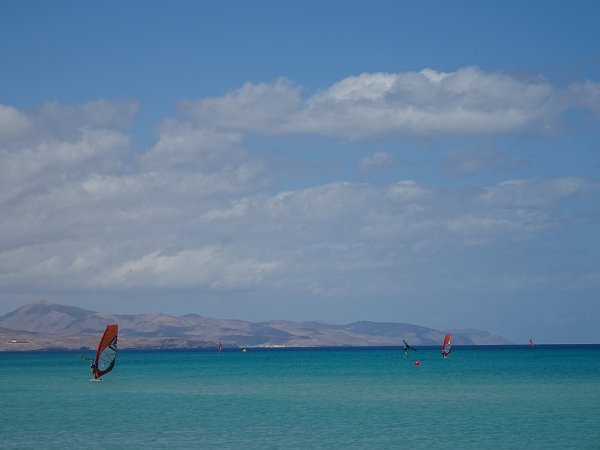 Windsurfers at Sotavento beach