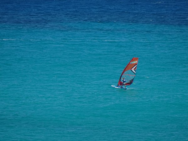 Windsurfers at Sotavento beach