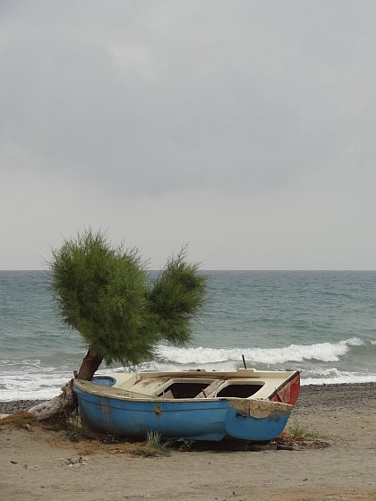 Old boat with tree at Maleme beach