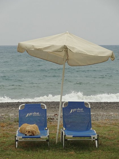 Dog on sun lounger at Maleme beach