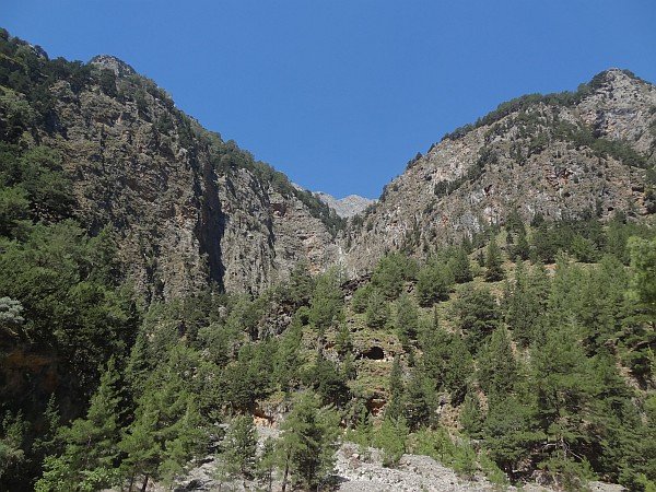 Wooded canyon walls in Samaria Gorge