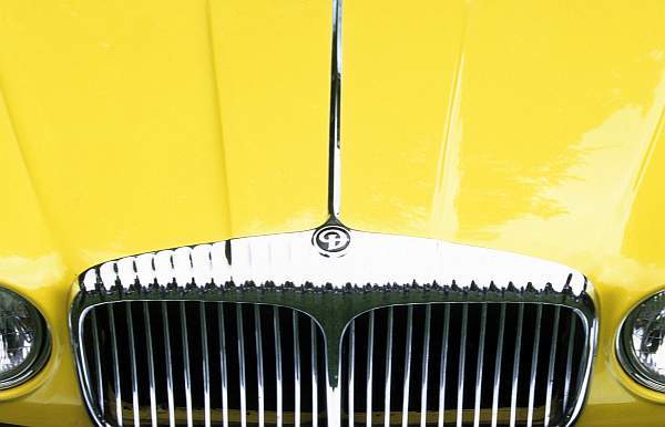 Yellow Jaguar D