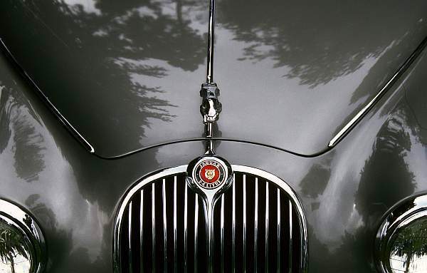 Grey Jaguar MarkII