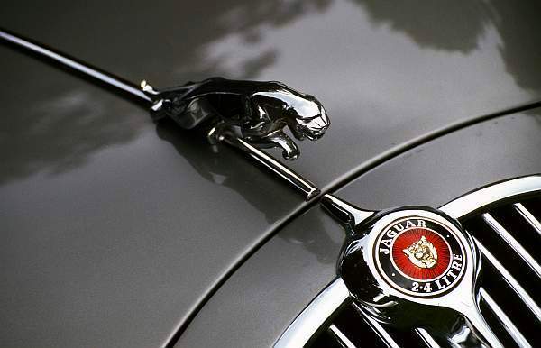 Grey Jaguar MarkII Close-Up