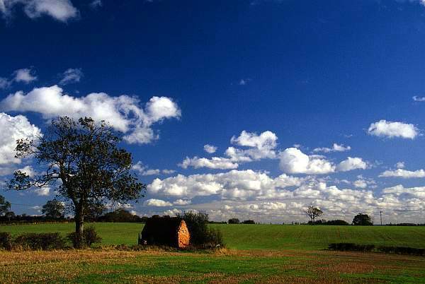 Landscape with Tree and Barn, near Melton Mowbray, Leicestershire
