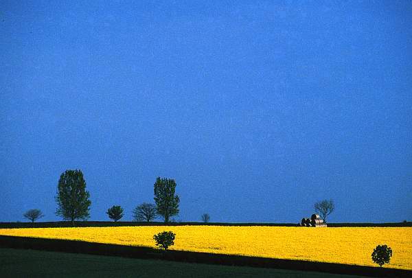 Blue, Yellow and Green Landscape, Leicestershire