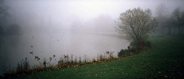 Fog at River Soar in Abbey Park, Leicester