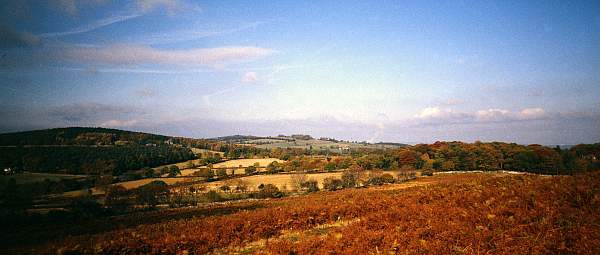 Autumn Landscape Panorama in Bradgate Park, Leicestershire