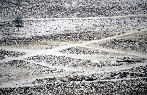 Tracks in snowy Bradgate Park, Leicestershire