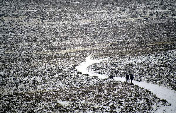 Winter Scene in Bradgate Park, Leicestershire