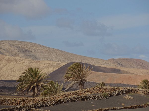 Volcanoes and palm trees in Los Volcanes nature park