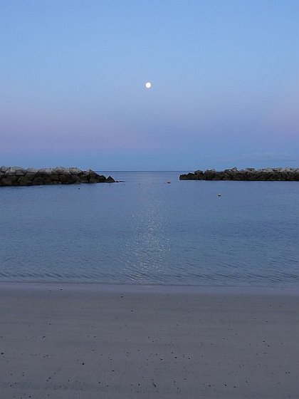 Coast near Flamingo beach at sunrise