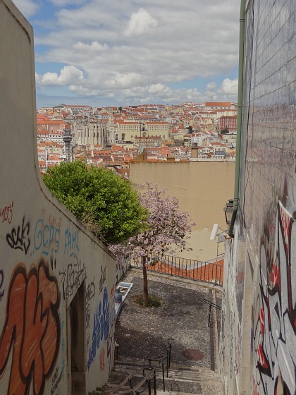 Rooftops as seen from Miradouro (viewpoint) da Senhora do Monte