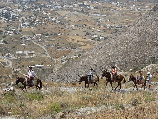 Ascent to Ancient Thera from Perissa by donkeys