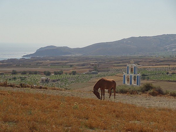 Landscape with horse and religious shrine near Gavrilos hill/ Emporio