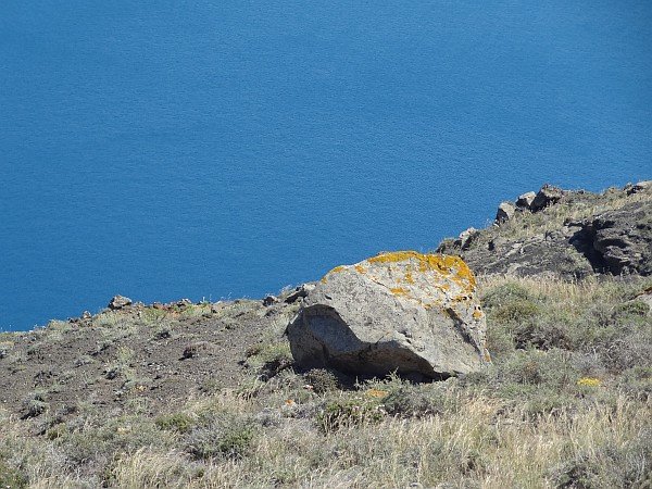 Boulder with yellow lychen