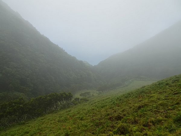 First glimpse of the ocean through fog