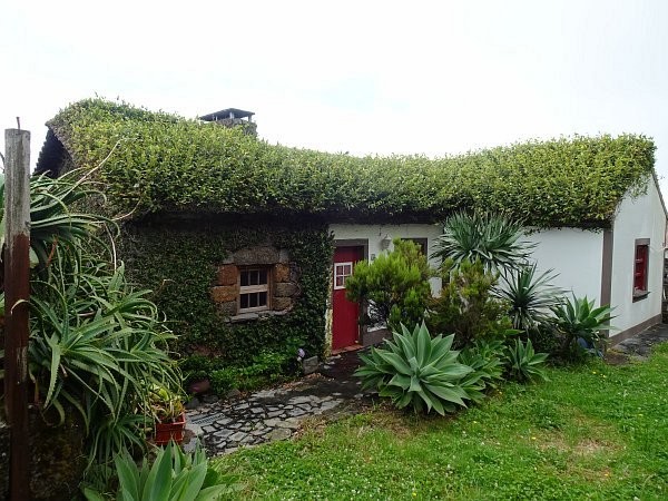 House overgrown with plants at Fajã da Caldeira de Santo Cristo