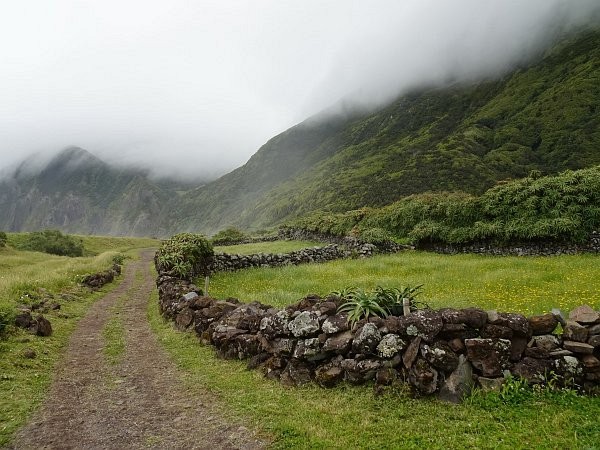 Scene near Fajã da Caldeira de Santo Cristo