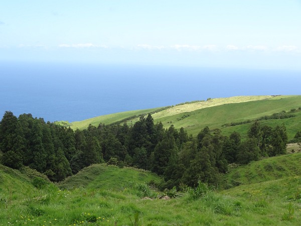 Undulating fields and woods towards north coast from Sete Cidades crater rim
