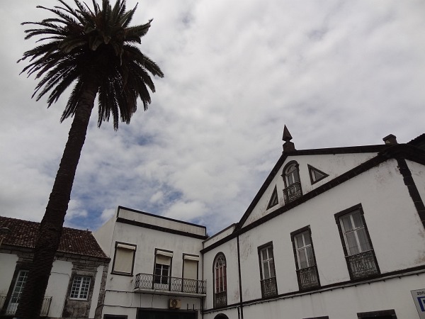 House with palm tree in centre of Ponta Delgada