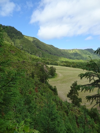 Field and vegatation on ascent to crater rim from Sete Cidades