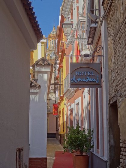 Hotel Amadeus