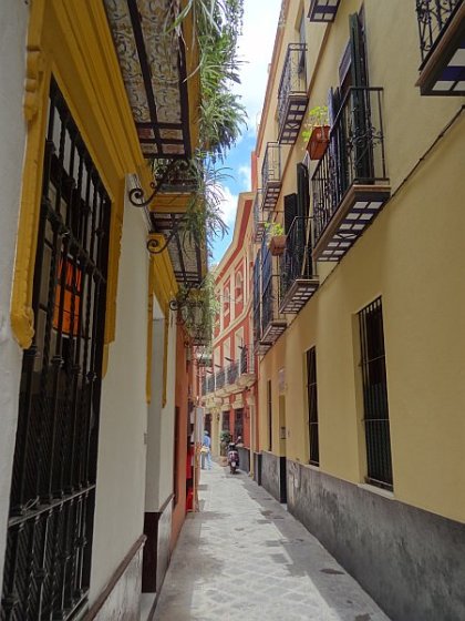 Narrow lane (kissing lane) in Santa Cruz neighbourhood