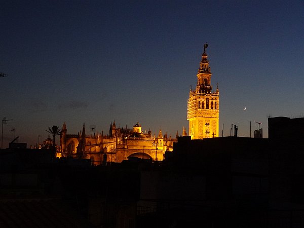 Cathedral at night